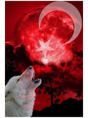 Köpek Balığı Kapı Direk Kaplama Folyosu BASKILI STİCKER Sağ-Sol 2 Adet 22*50 CM