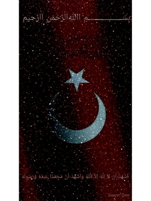 Türk Bayrağı ve Kurt Kapı Direk Kaplama Folyosu BASKILI STİCKER Sağ-Sol 2 Adet 22*50 CM