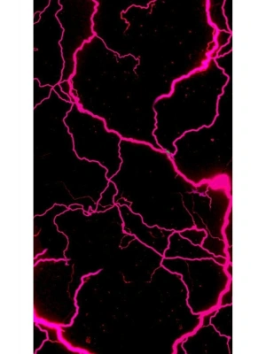 Pembe Şimşek Kapı Direk Kaplama Folyosu BASKILI STİCKER Sağ-Sol 2 Adet 22*50 CM