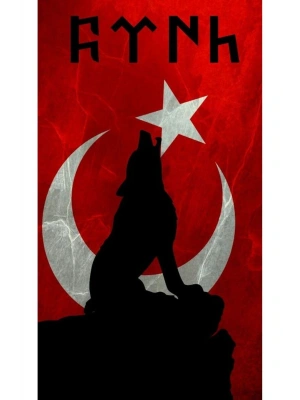 Kurt Kapı Direk Kaplama Folyosu BASKILI STİCKER Sağ-Sol 2 Adet 22*50 CM