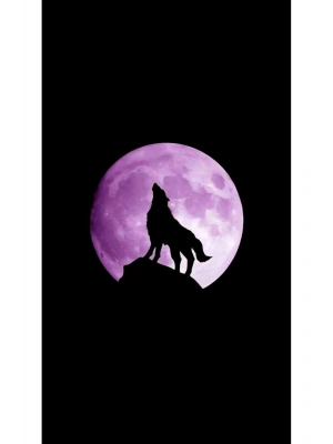 Kurt Kapı Direk Kaplama Folyosu BASKILI STİCKER Sağ-Sol 2 Adet 22*50 CM