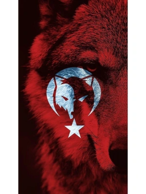 Kurt ve Türk Bayrağı Kapı Direk Kaplama Folyosu BASKILI STİCKER Sağ-Sol 2 Adet 22*50 CM