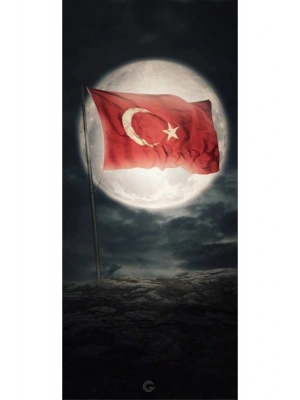 Türk Bayrağı Kapı Direk Kaplama Folyosu BASKILI STİCKER Sağ-Sol 2 Adet 22*50 CM