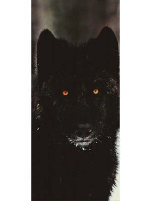 Kurt Kapı Direk Kaplama Folyosu BASKILI STİCKER Sağ-Sol 2 Adet 22*50 CM