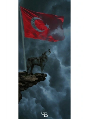 Türk Bayrağı Kapı Direk Kaplama Folyosu BASKILI STİCKER Sağ-Sol 2 Adet 22*50 CM