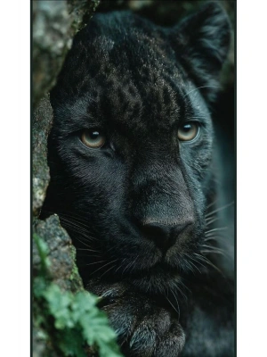 Jack Skellington Kapı Direk Kaplama Folyosu BASKILI STİCKER Sağ-Sol 2 Adet 22*50 CM