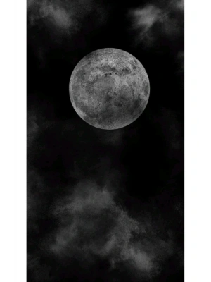 Kurt Kapı Direk Kaplama Folyosu BASKILI STİCKER Sağ-Sol 2 Adet 22*50 CM