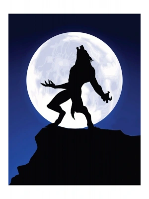 Kurt Adam Kapı Direk Kaplama Folyosu BASKILI STİCKER Sağ-Sol 2 Adet 22*50 CM