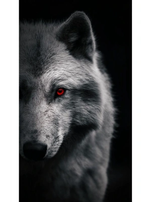 Kurt Kapı Direk Kaplama Folyosu BASKILI STİCKER Sağ-Sol 2 Adet 22*50 CM