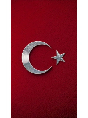 Türk Bayrağı Kapı Direk Kaplama Folyosu BASKILI STİCKER Sağ-Sol 2 Adet 22*50 CM