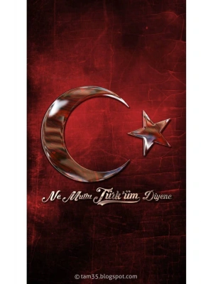 Türk Bayrağı Kapı Direk Kaplama Folyosu BASKILI STİCKER Sağ-Sol 2 Adet 22*50 CM