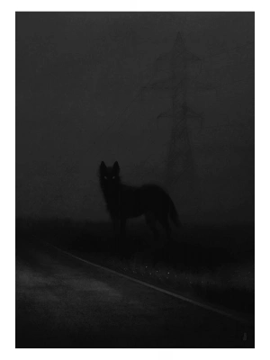 Kurt Kapı Direk Kaplama Folyosu BASKILI STİCKER Sağ-Sol 2 Adet 22*50 CM