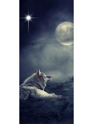 Joker Kapı Direk Kaplama Folyosu BASKILI STİCKER Sağ-Sol 2 Adet 22*50 CM