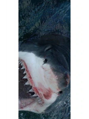 Batman Kapı Direk Kaplama Folyosu BASKILI STİCKER Sağ-Sol 2 Adet 22*50 CM