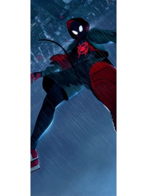 Karga Kapı Direk Kaplama Folyosu BASKILI STİCKER Sağ-Sol 2 Adet 22*50 CM