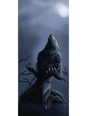 Kurt Kapı Direk Kaplama Folyosu BASKILI STİCKER Sağ-Sol 2 Adet 22*50 CM