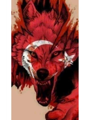 Kurt Kapı Direk Kaplama Folyosu BASKILI STİCKER Sağ-Sol 2 Adet 22*50 CM