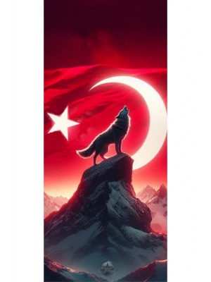 Kurt Kapı Direk Kaplama Folyosu BASKILI STİCKER Sağ-Sol 2 Adet 22*50 CM