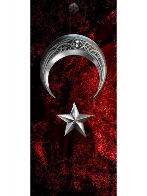 Türk Bayrağı Kapı Direk Kaplama Folyosu BASKILI STİCKER Sağ-Sol 2 Adet 22*50 CM