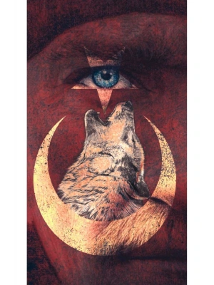 Atatürk ve Türk Bayrağı Kapı Direk Kaplama Folyosu BASKILI STİCKER Sağ-Sol 2 Adet 22*50 CM