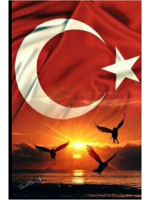 Türk Bayrağı Kurt Kapı Direk Kaplama Folyosu BASKILI STİCKER Sağ-Sol 2 Adet 22*50 CM