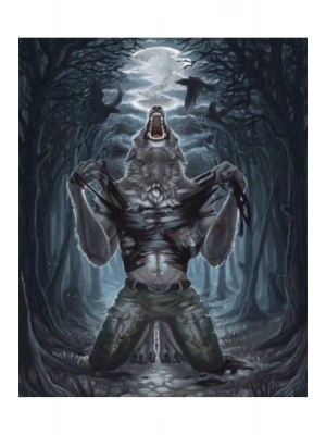 Kurt Adam Kapı Direk Kaplama Folyosu BASKILI STİCKER Sağ-Sol 2 Adet 22*50 CM