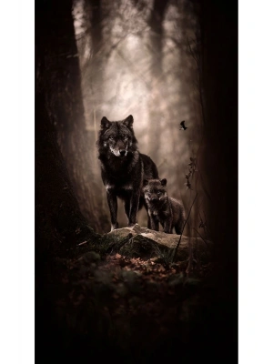 Kurt Kapı Direk Kaplama Folyosu BASKILI STİCKER Sağ-Sol 2 Adet 22*50 CM