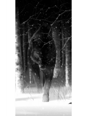 Kurt Kapı Direk Kaplama Folyosu BASKILI STİCKER Sağ-Sol 2 Adet 22*50 CM