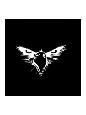 Kartal Göz Sticker Araba, Motorsiklet, Kask, Laptop, Cam Sticker 14x9 Cm