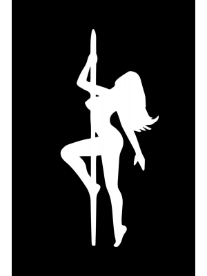 Dirty Dancer Araba, Motorsiklet, Kask, Laptop, Cam Sticker 16x8 Cm