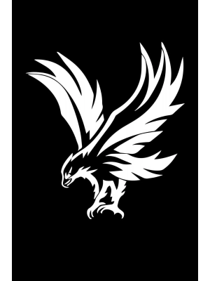 Uçan Kartal Oto Sticker, Motorsiklet Sticker, Kask Sticker 14x12 Cm