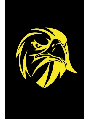 Kızgın Bakışlı Kartal Araba, Motorsiklet, Kask, Laptop, Cam Sticker 13x12 Cm