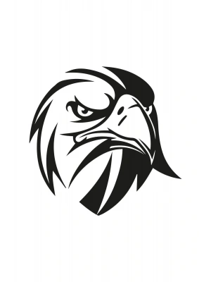 Kızgın Bakışlı Kartal Araba, Motorsiklet, Kask, Laptop, Cam Sticker 13x12 Cm