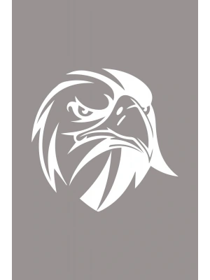 Kızgın Bakışlı Kartal Araba, Motorsiklet, Kask, Laptop, Cam Sticker 13x12 Cm