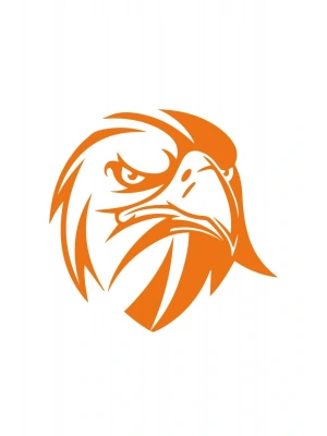 Kızgın Bakışlı Kartal Araba, Motorsiklet, Kask, Laptop, Cam Sticker 13x12 Cm