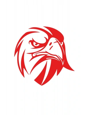 Kızgın Bakışlı Kartal Araba, Motorsiklet, Kask, Laptop, Cam Sticker 13x12 Cm