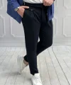 Erkek Bel Toka Detaylı Pileli Pantolon