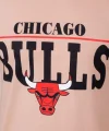 Erkek Kısa Kollu Chicago Bulls Baskılı Tişört