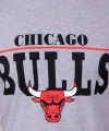 Erkek Kısa Kollu Chicago Bulls Baskılı Tişört