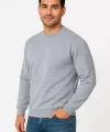 Erkek Üç İplik Düz Bisiklet Yaka SweatShirt - Gri