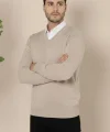 Erkek V Yaka Triko Kazak yumuşak dokulu Pamuklu ince Dokuma, uzun kollu Rahat Regular kalıp - Bej