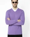 Erkek V Yaka Triko Kazak Yumuşak Dokulu Pamuklu Ince Dokuma, Uzun Kollu Rahat Regular Kalıp - Mor
