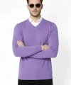 Erkek V Yaka Triko Kazak yumuşak dokulu Pamuklu ince Dokuma, uzun kollu Rahat Regular kalıp - Mor