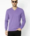 Erkek V Yaka Triko Kazak Yumuşak Dokulu Pamuklu Ince Dokuma, Uzun Kollu Rahat Regular Kalıp - Mor