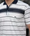 Erkek Yakalı çizgili Kısa Kollu T-shirt