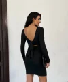 Kadın Uzun Kollu Sırt Dekoltesi Ve Fiyonk Detay Mini Elbise
