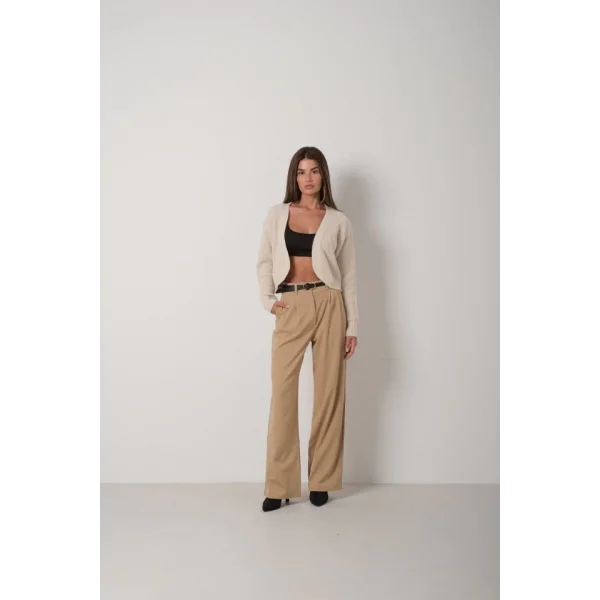 Biyeli Crop Triko Hırka