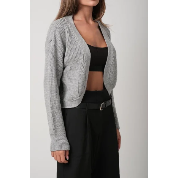 Biyeli Crop Triko Hırka