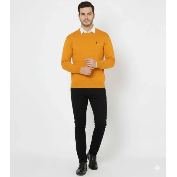 Erkek Bisiklet Yaka Nakış işlemeli Triko Kazak yumuşak dokulu Pamuklu ince Dokuma, uzun kollu Rahat Regular kalıp - Turuncu