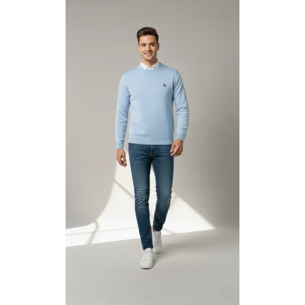 Erkek Bisiklet Yaka Nakış işlemeli Triko Kazak yumuşak dokulu Pamuklu ince Dokuma, uzun kollu Rahat Regular kalıp - Mavi